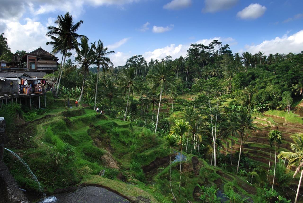 Bali — travel destination